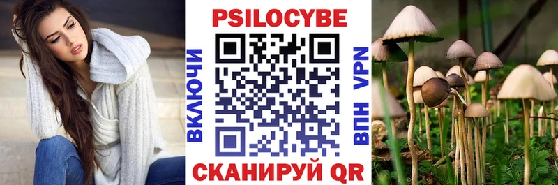 Псилоцибиновые грибы Magic Shrooms сколько стоит Барыш